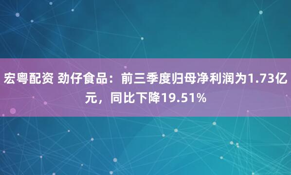宏粤配资 劲仔食品：前三季度归母净利润为1.73亿元，同比下降19.51%