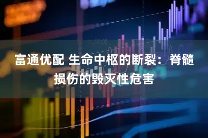 富通优配 生命中枢的断裂：脊髓损伤的毁灭性危害